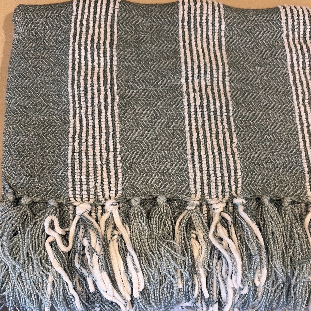 Scott Living 50x60” Striped Green and White Throw Blanket